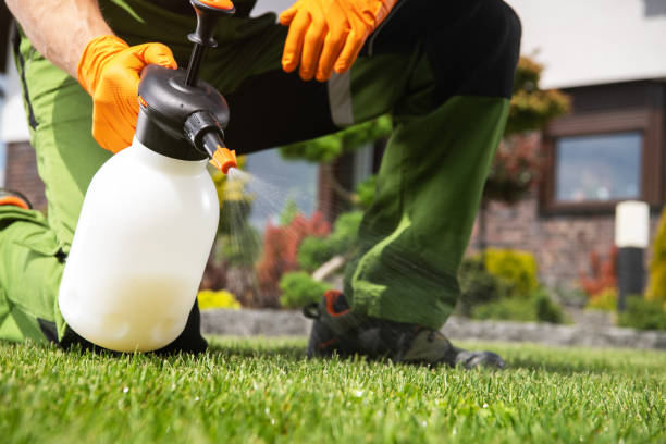 Best Wildlife Control Services  in Covington, VA