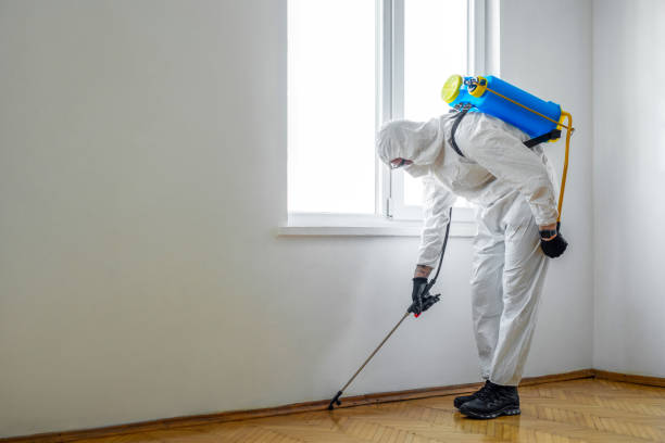 Reliable Covington, VA Pest Control Solutions