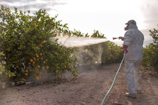 Best Pest Control Near Me in Covington, VA