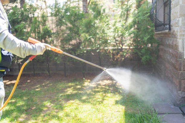 Best Affordable Pest Control Services  in Covington, VA