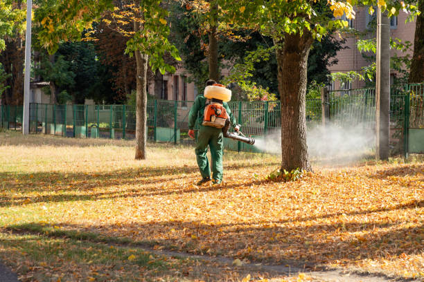 Best Commercial Pest Control Services  in Covington, VA
